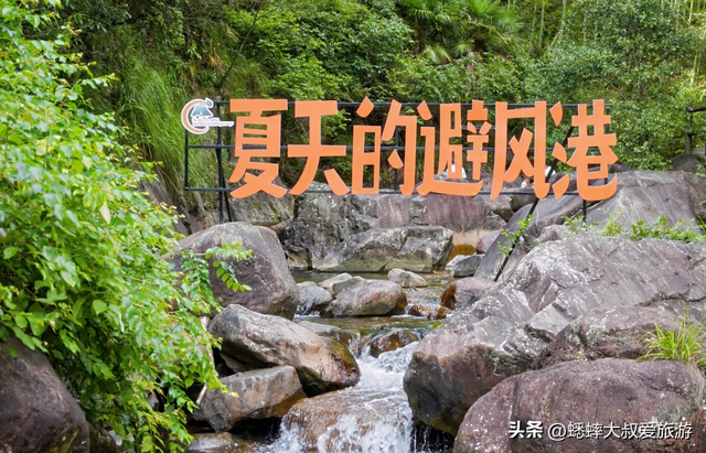 秋日赏玩来浙江“限免”4A景区吧，95%的森林覆盖率，超惊艳！