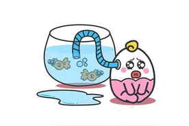 这几个星女越爱你就越作图片