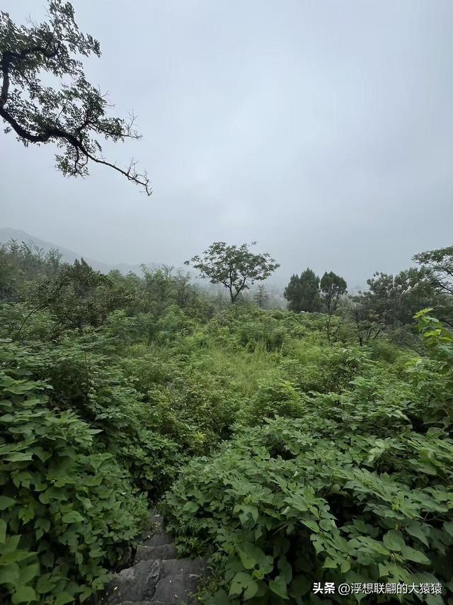 章丘大山深处有一座始建于宋元时期的古庙宇：杓峪庵