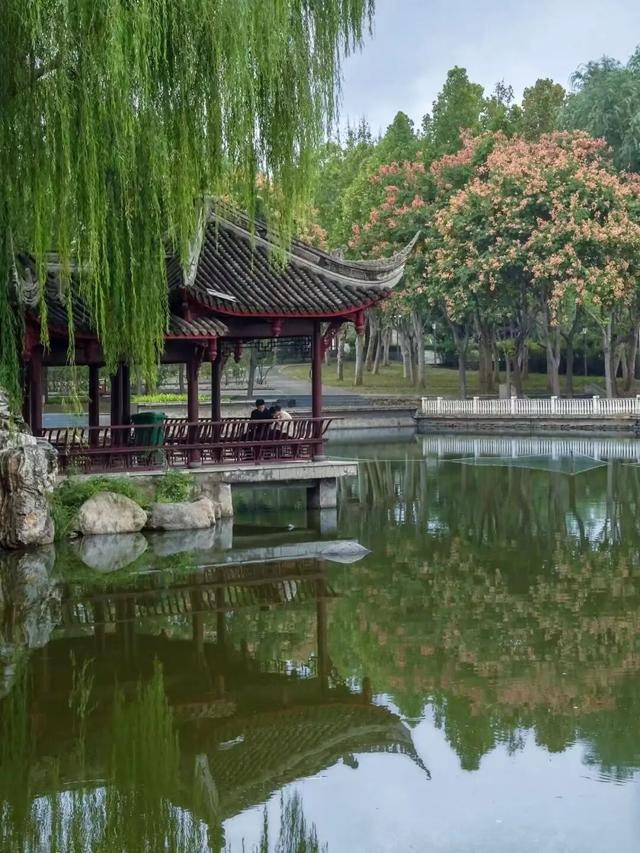 秋韵满园！石家庄市植物园赏秋攻略，请查收→