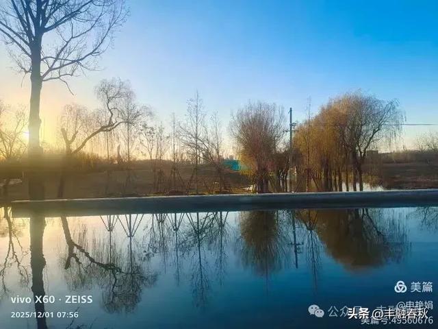 初冬北京朝阳坝河金盏淀:清寒里的静美画卷|申艳娟