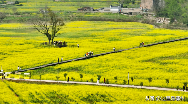 这里是鄂州最High的地方！