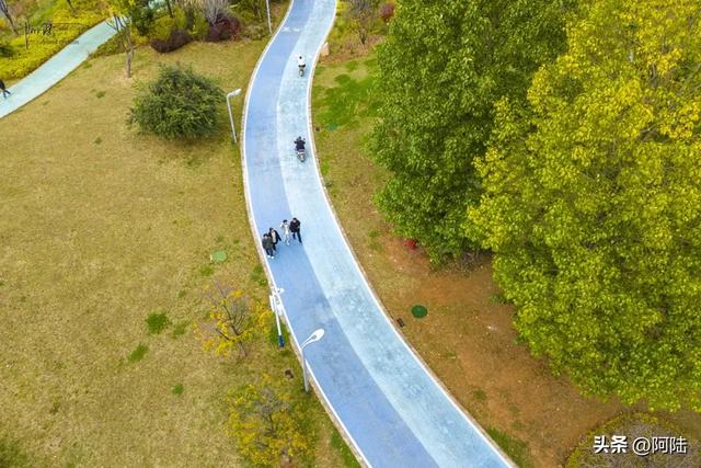 丽江市区的最美秋景在中济海,让我意外的是游客很少,什么原因?