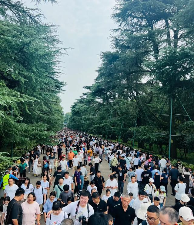 上海人国庆勇闯南京，3天暴走实录！