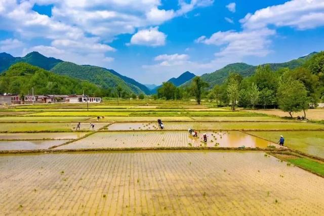 徽县“衣”秒换装！暖乎乎超治愈～