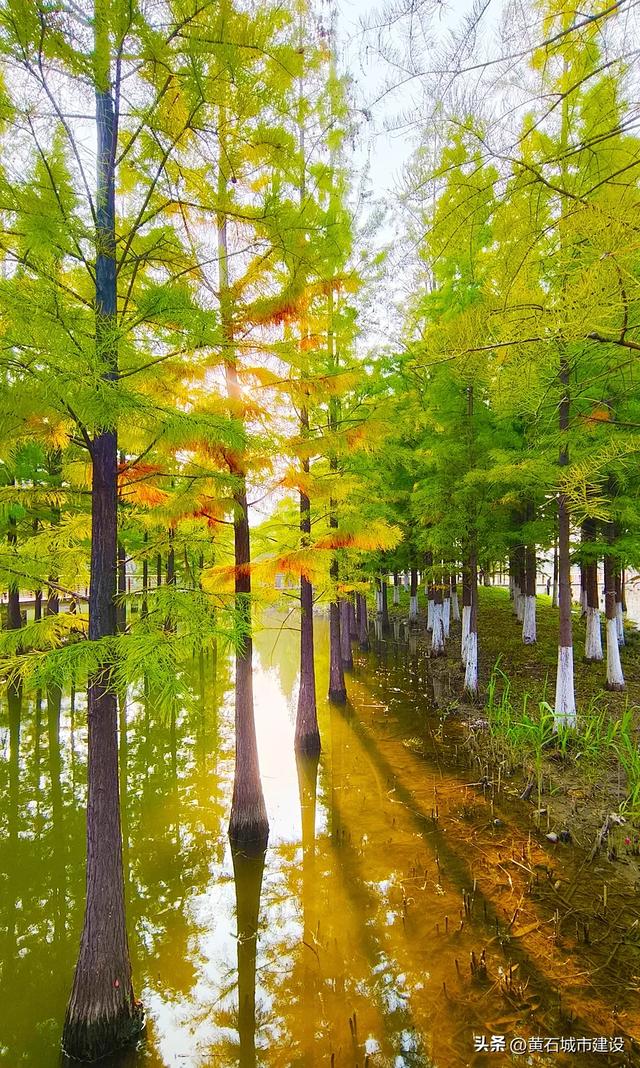 快收藏!黄石秋冬限定!令人沉醉