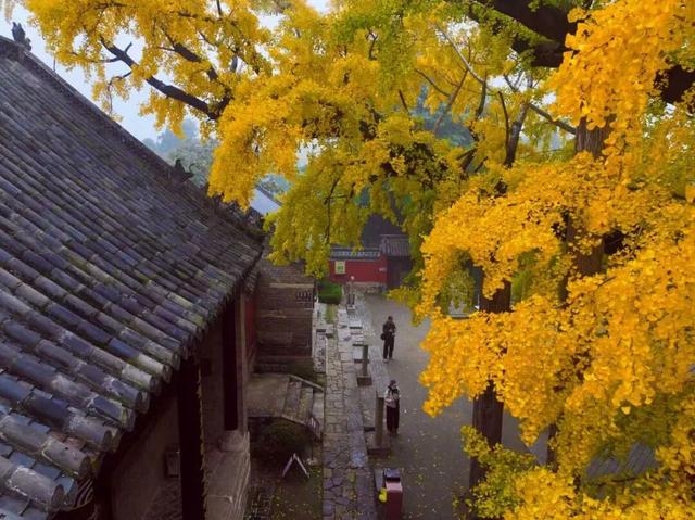 壮观！震撼！很多人都去看了！就在日照这里！