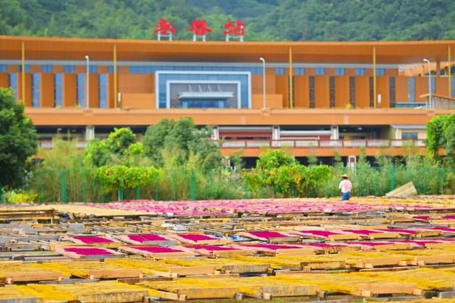 打卡南铁“足迹”，满满都是回忆！