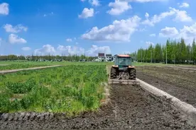 切记！家里的地宁可荒着也不能让别人种图片