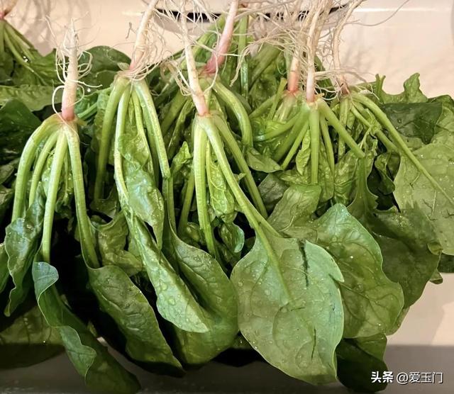 劝告：冬天，尽量不要买这5种蔬菜，看过就知道为什么！