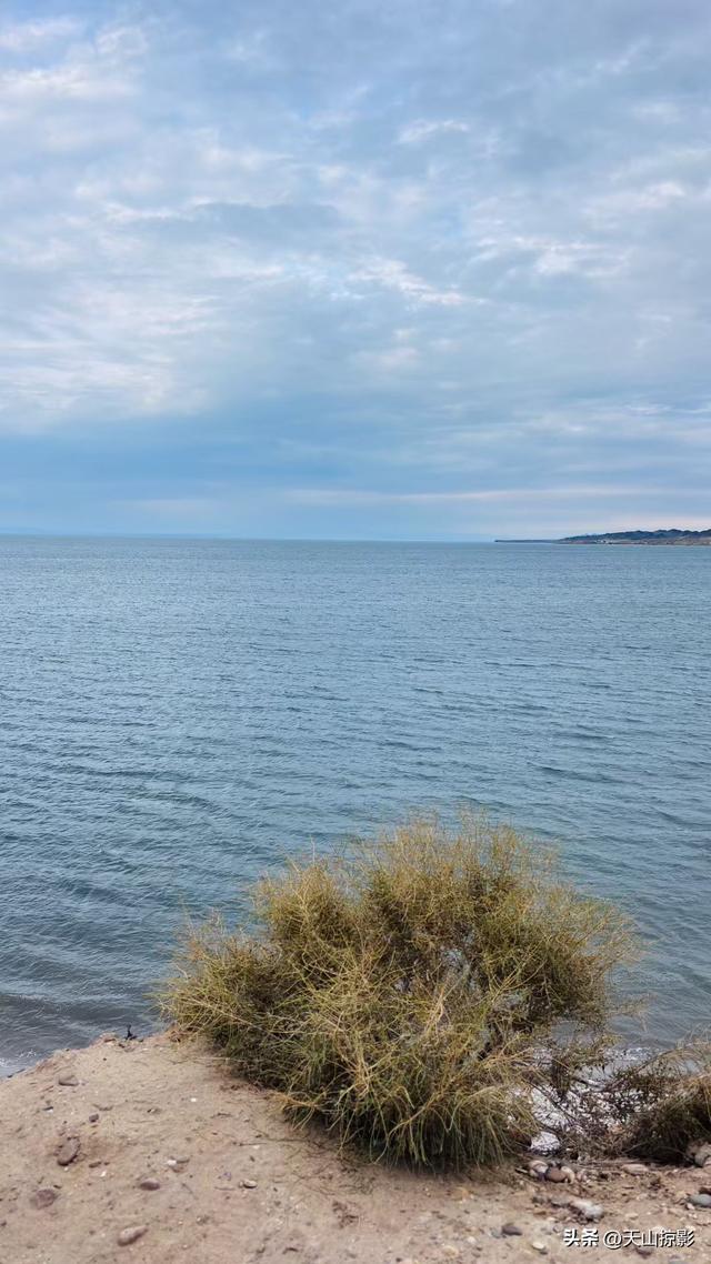 邂逅沙湖