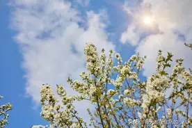 没钱，请做好这20件事图片