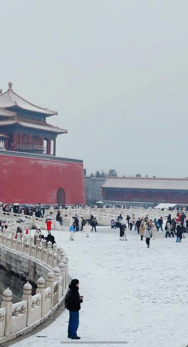 北京故宫下雪了❄️
