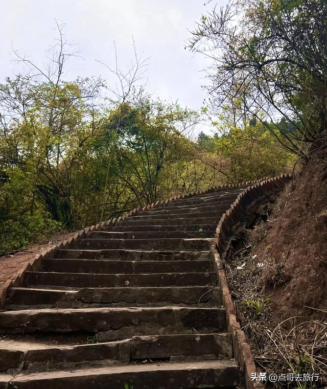 成都龙泉森林徒步路线，被严重低估，不要门票，拍照超级出片！