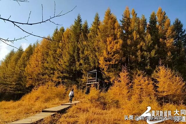 错峰出游正当时 浑源文旅热度持续攀升