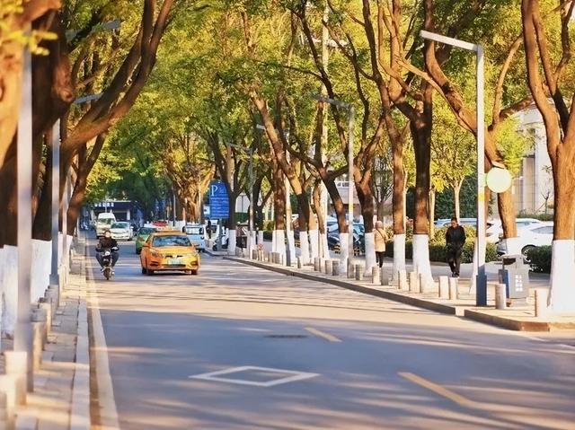 秋日限定美景，还不赶紧来拍？