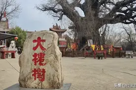 明初山西洪洞大槐树移民到底是怎么回事？图片