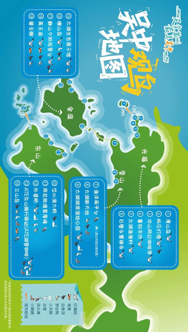 太湖已进入“鸟类狂欢季”！《观鸟地图》出炉！