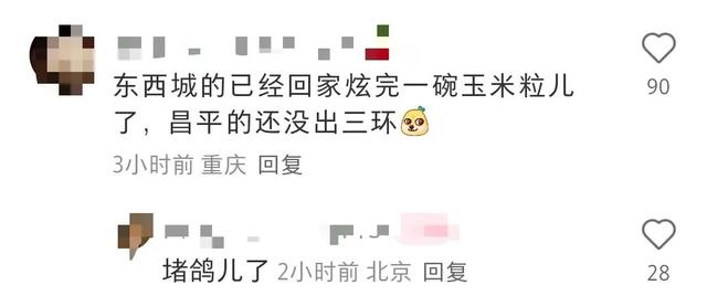 阅兵后放飞的“和平鸽”是怎么回家的？遇到迷路的鸽子怎么办？