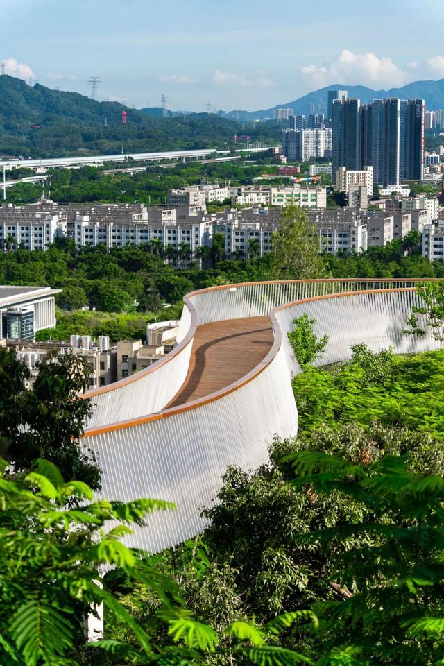 光明这个公园，原来这么好逛！