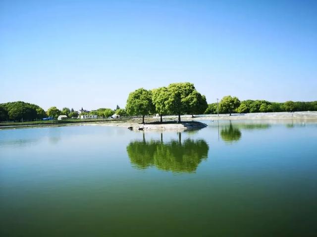 沪上这9条秋游线路，带你走进申城最美的秋景~