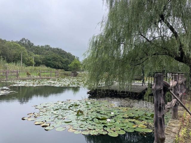 骑游滁州西神山寺森林公园花山风景线