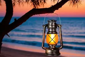 读书读傻了吗！对于武大肖同学本人，我是百思不得其解。图片