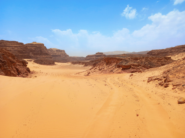 在埃及观察组的日日夜夜（五）