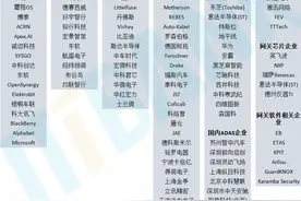 汽车电子半导体芯片产业链全景图（车规级芯片）图片