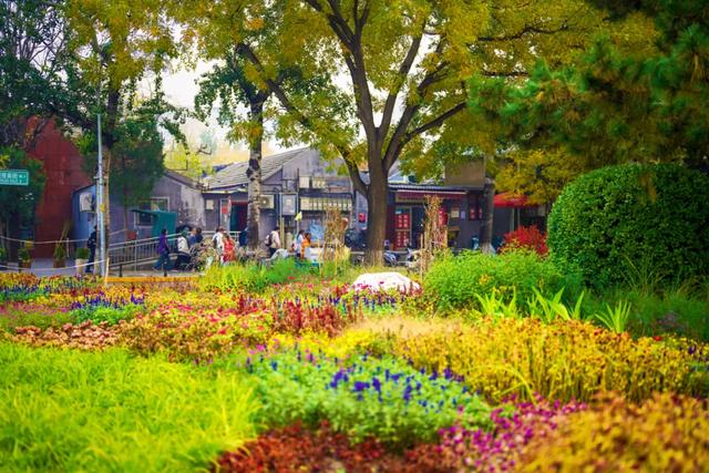 全龄友好,四季皆景!皇城根遗址公园焕新升级,超多美图→