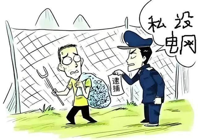 监守自盗! 2024年, 湖北一护林员在山里架980米电网, 冰柜中搜出肢体