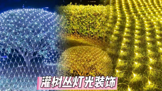 享暖冬 60+节目轮番上演！红花岗区跨年活动来咯~