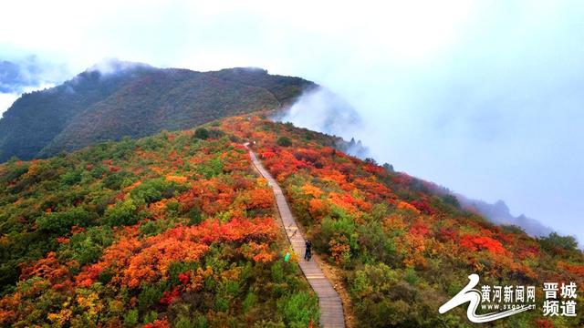 浮山红叶映云海 仙境美景引客来