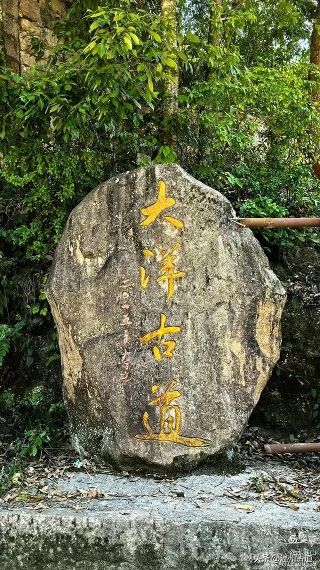 探秘浙南“小黄山”的绝美风光!夏日就去这个天然小众徒步氧吧!