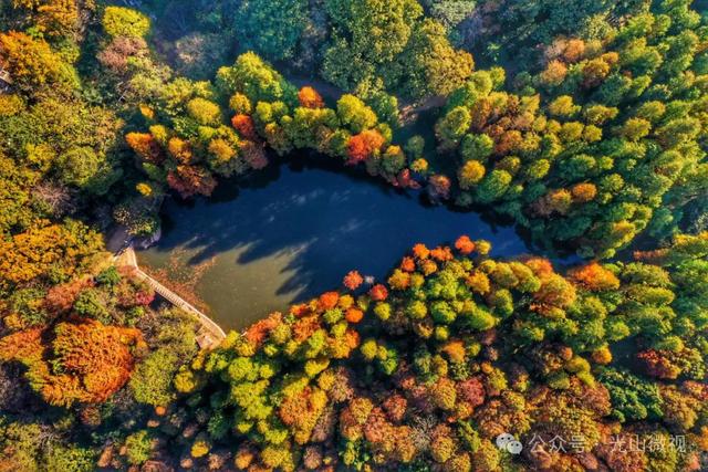 信阳十个醉美秋景等你打卡，来看光山哪些景区上榜