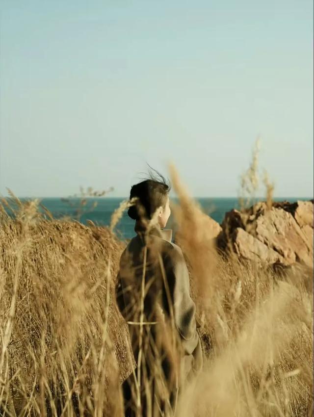 芦花飞雪！比人高+多机位！青岛氛围感芦苇荡初冬打卡地