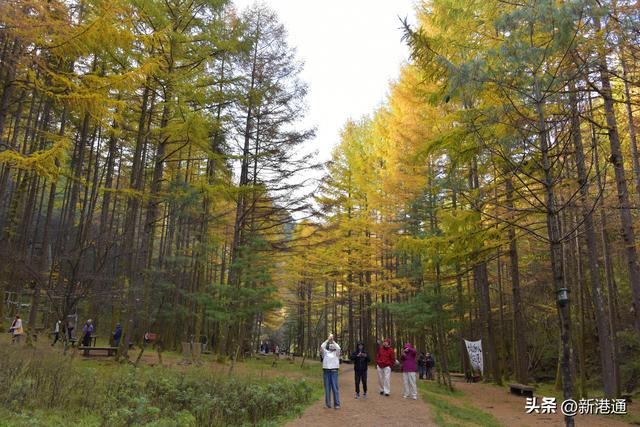 邂逅浪漫秋日，汉中展开超美自然画卷