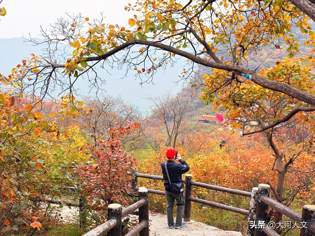 赵庄：红叶与五彩步道交织的秋日盛景