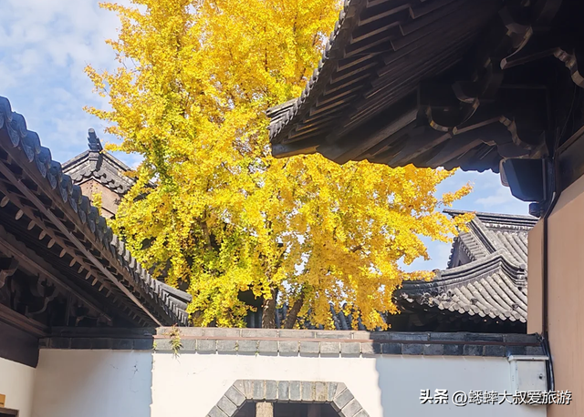 堪比西塘，比肩南浔，江浙沪深处的“博物馆古镇”更迷人，真免费