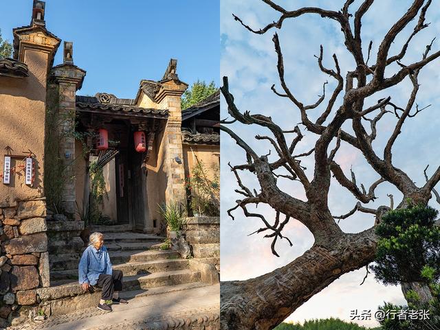 走遍浙江古村落，为了看一棵枯树，我骑行一千公里来了两趟松阳