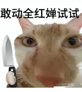 “敢动全红婵试试”简简单单几个字道出全红婵“ 爱你老己”的底气