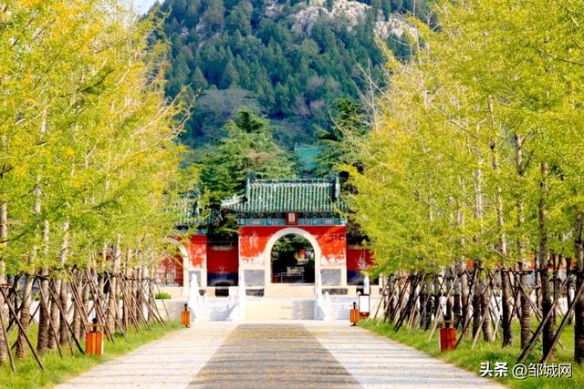 邹城明鲁王陵景区恢复收费啦？是的！