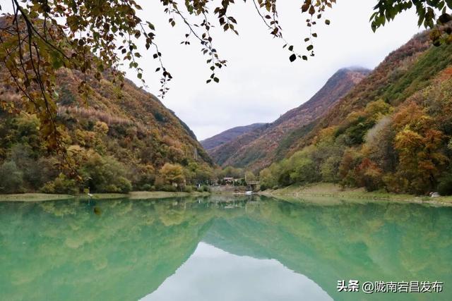 秋辞官鹅：一季斑斓入岁华