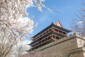 组图丨三月花开春意浓图片