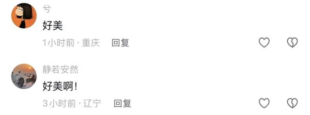 全网都在等的沈阳故宫雪景，来了→