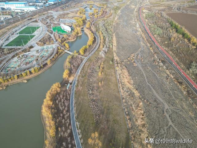 新疆昌吉头屯河公园