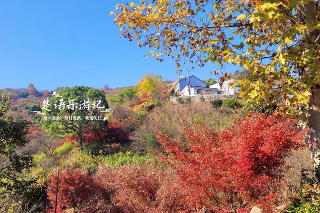 雪窦山深处的古村，周边的红枫胜境太美了，弥勒大佛观景地是亮点