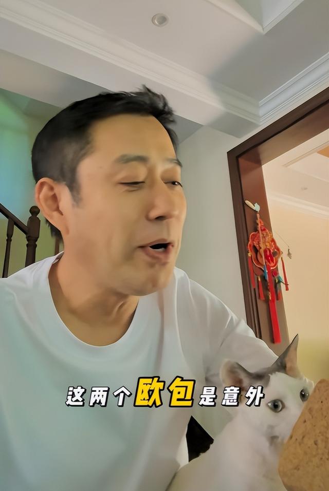 53岁刘钧现状：住北京郊区别墅，一直未婚与小猫作伴	，自己做饭吃