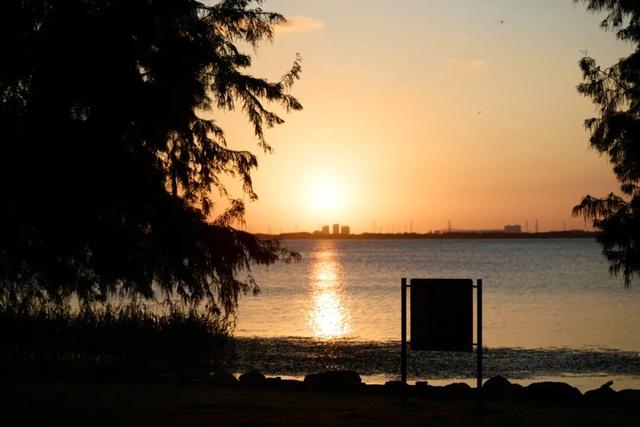 苏州湾这座奇怪的建筑，是啥？