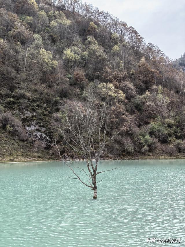 秦岭狮子沟牧场&牛奶湖